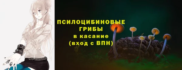 jwh Осинники
