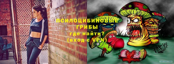 герыч Алексин