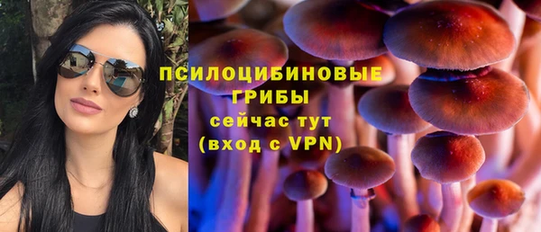 герыч Алексин
